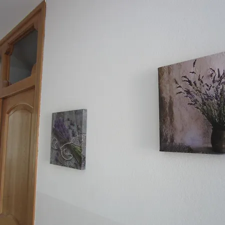 Matkovic Guest house