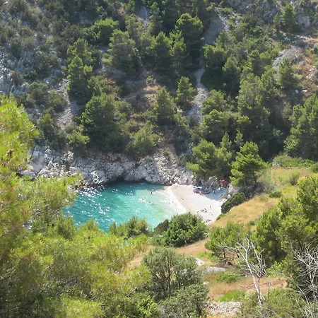 Matkovic 3*